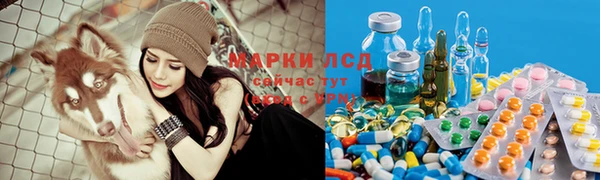 ешки Арсеньев