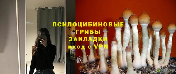 мяу мяу мука Армянск