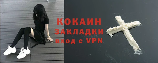 ешки Арсеньев